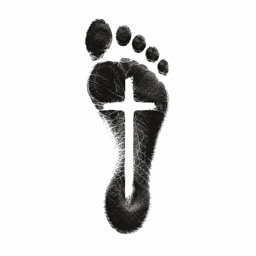 Test My Faith logo
